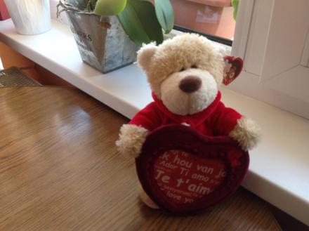 Medveď so srdiečkom pre fotku,