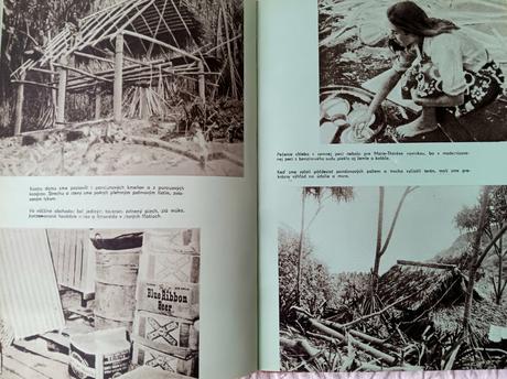 B.danielsson - zabudnuté ostrovy,