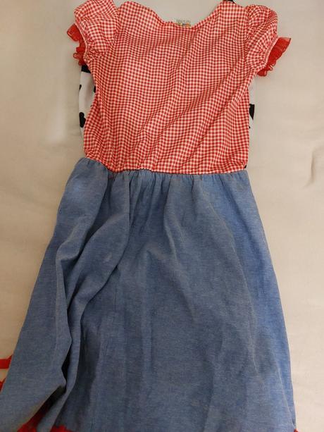 Karnevalové šaty s, 