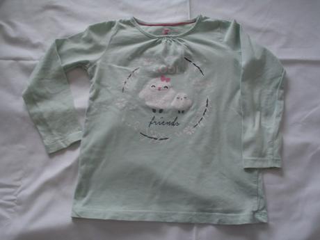 Tričko bledozelené, lupilu,116