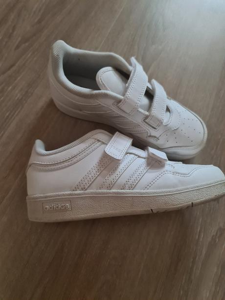 Topánky, adidas,31