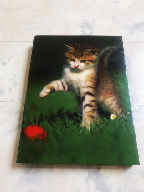 Box/školské dosky s mačičkou a4, 