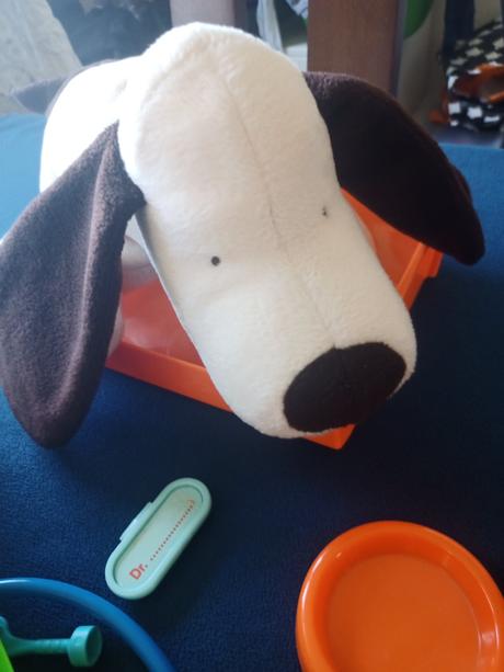 Veterinárna ambulancia. kniha, psík, box, 