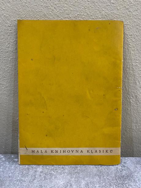 Kniha-a. fadějev - metelec,