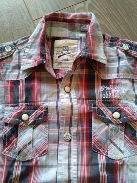 Kosela, palomino,110