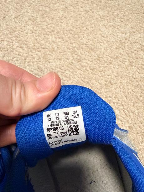 Botasky puma, puma,31