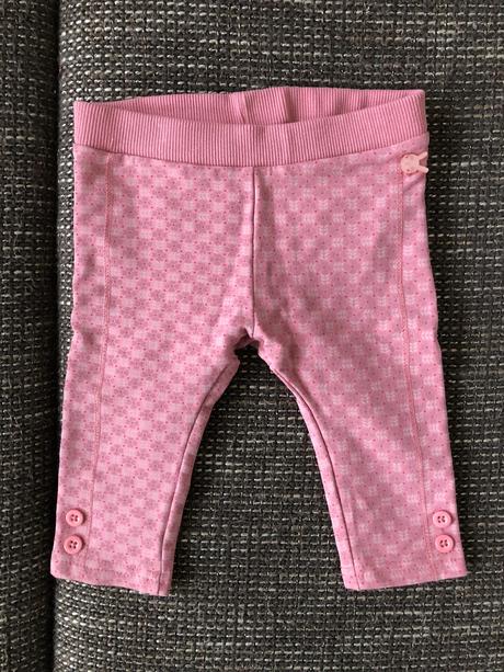 Leginky, coccodrillo,62