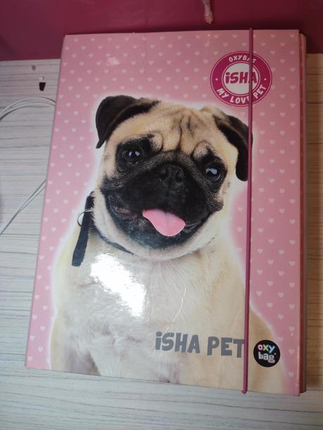 Školské dosky mopsik, 