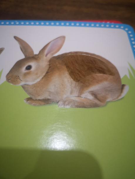 Čísla a počty obrázkové karty, 