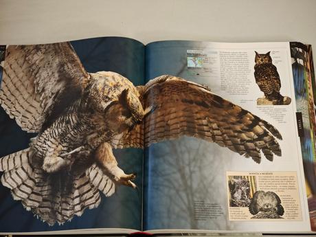 Jedinečná obrazová encyklopédia zviera, 