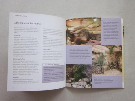 Kniha terárium pre začiatočníkov, 