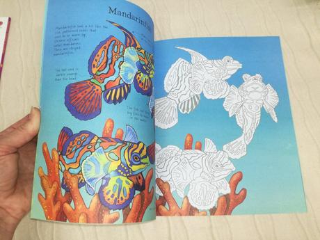 Usborne undersea life to colour njul18,