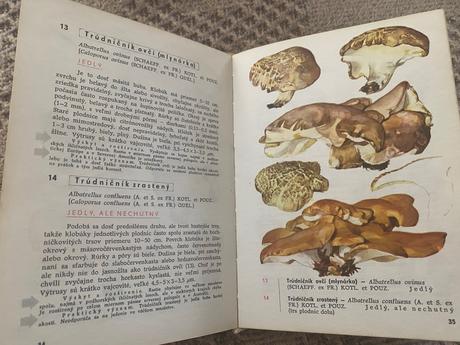 Vreckový atlas húb pilát albert, ušák otto,
