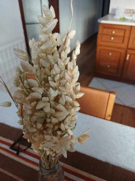 Briza maxima  bielená, 