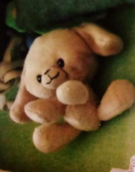 Kde zoženiem takúto plyšovú hračku?