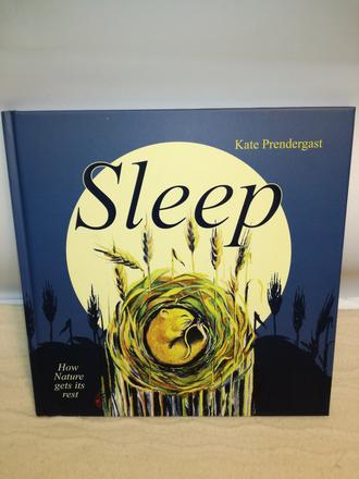 Kate prendergast sleep hb nsu21, 