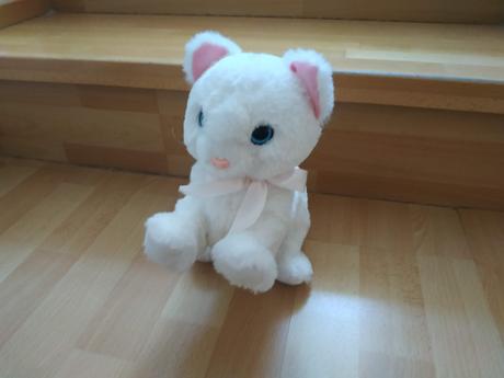 Mačička čo sa hýbe a mňauká, 