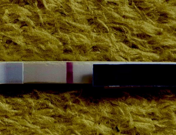 Tehotenský test 7 dní po ovulácii