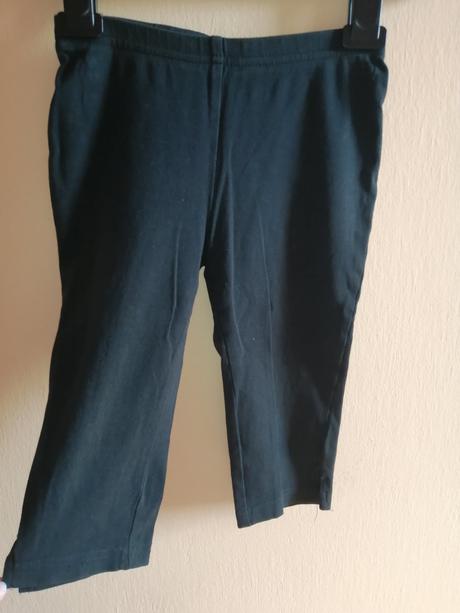 Trištvrťáky, palomino,116