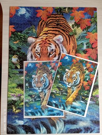 Puzzle tiger (už s poštovným),