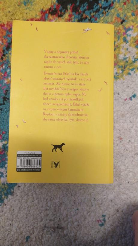 Čo nerobiť, keď sa stanete neviditeľnými, 