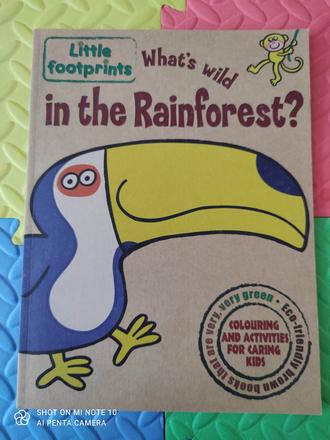 Who is wild in the rainforest - p,