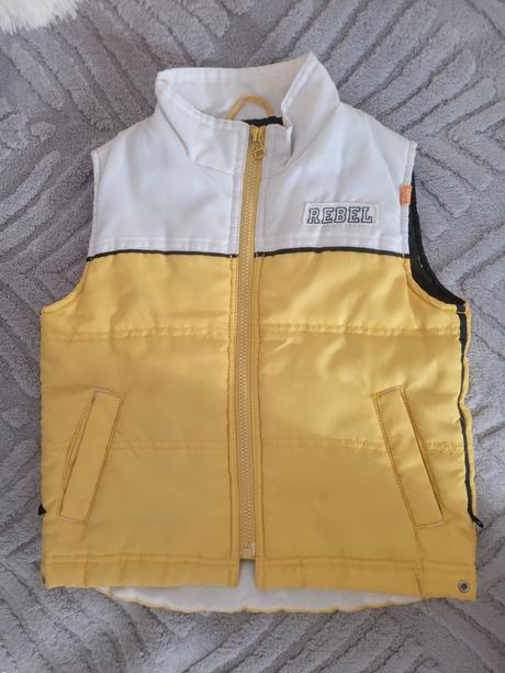 Vesta 98-110, rebel,98