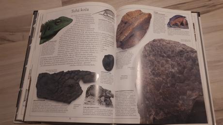 Krásna kniha dinosaury david norman, 