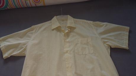 Svetlozlta panska kosela, 43