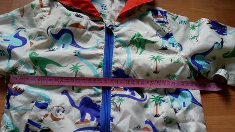 Bundička dinosaurus, 98