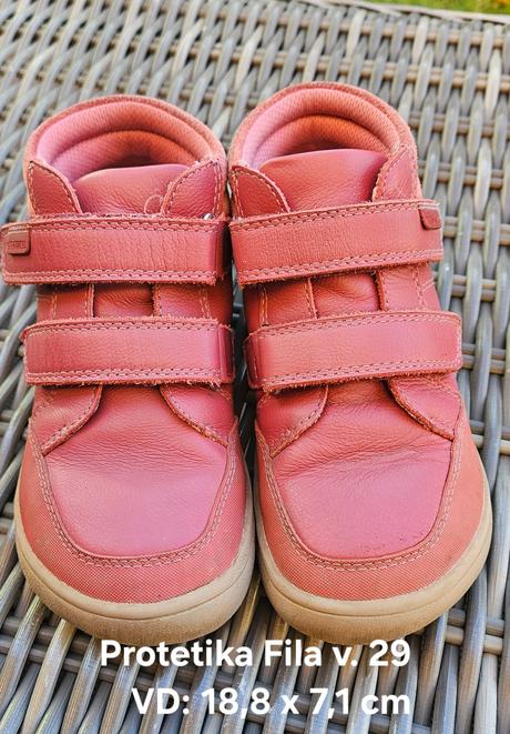 Protetika fila v. 29, protetika,29