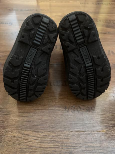 Snehule sorel, sorel,24