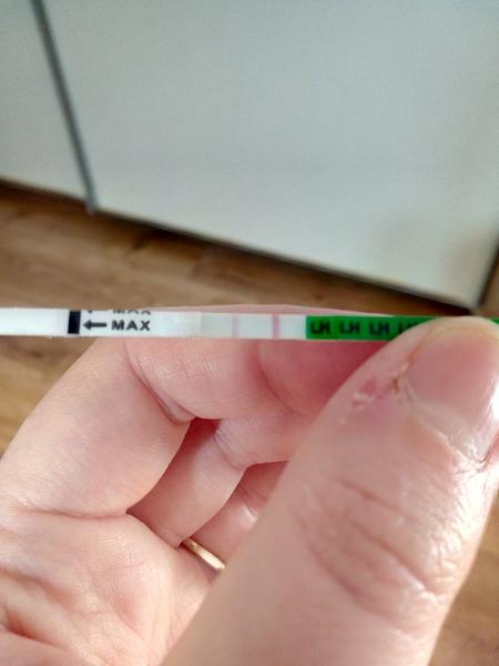 Ovulačný test - už sa to blíži?