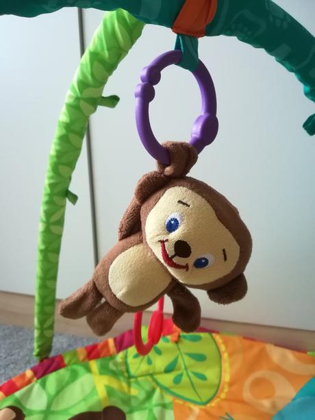 Hrazdička so zvukovou opicou, 