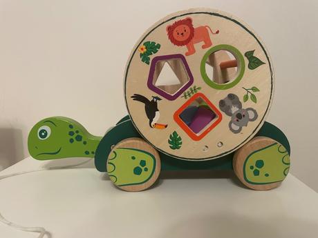 Tahacia vkladacka korytnacka, 