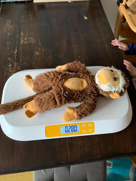 Detska vaha loease, brendon