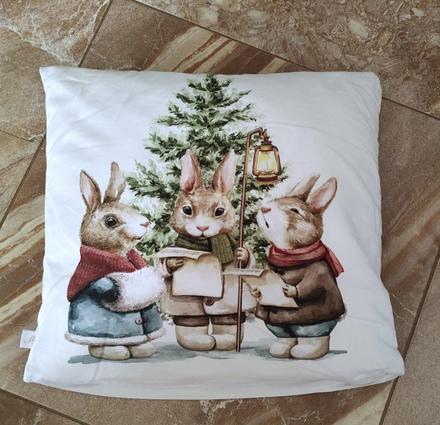 Matejovsky obliečka na vankúšik,