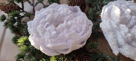 Zimná pivonka s kúzlom snehu a mrazu, 