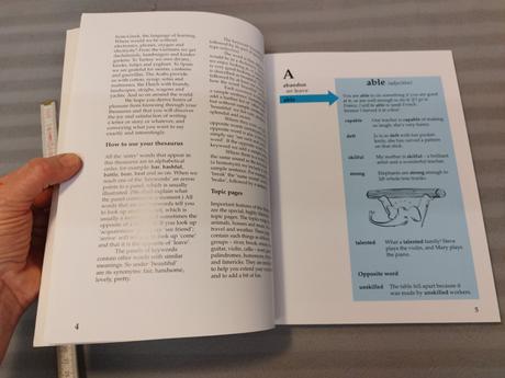 Kingfisher - first thesaurus su23, 