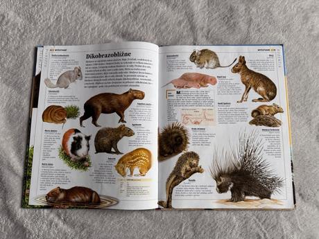 Obrazová encyklopédia zvieratá, 