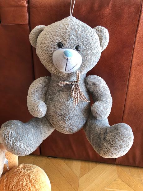 Plyšový medvedík, 