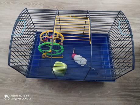 Klientka pre škrečka, 