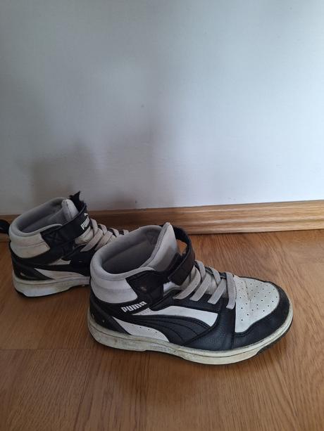 Botasky puma, puma,32
