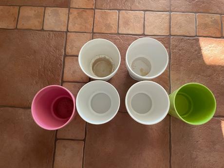 Crepniky na orchidee, 