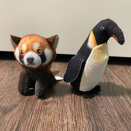 Medvedík a tučniak,