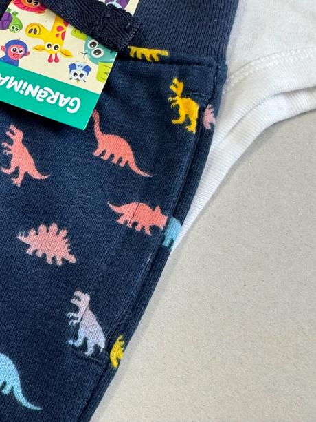 Garanimals chlapčenská súprava kraťasky a tričko, 62