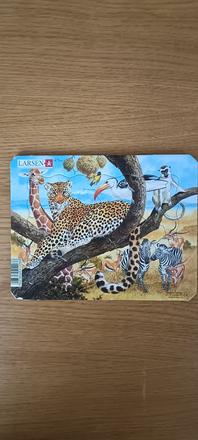 Larsen puzzle, 