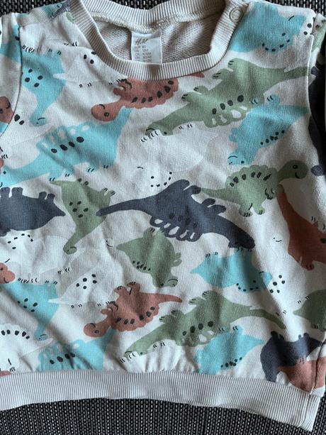 Mikina s dinosaurami, h&m,80