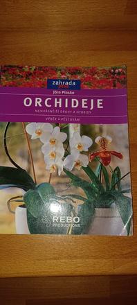 Orchideje,