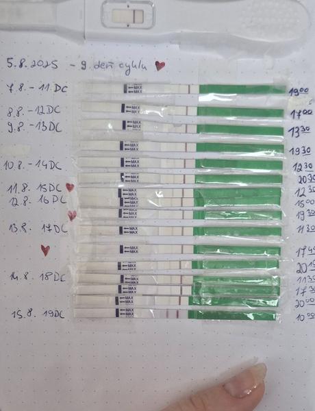 Môže byť ovulačný test pozitívny?